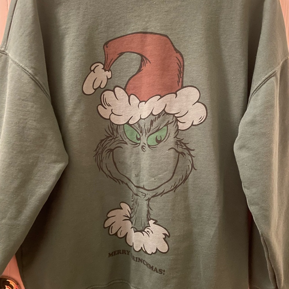 AE Oversized Holiday Grinch Graphic Sweatsirt